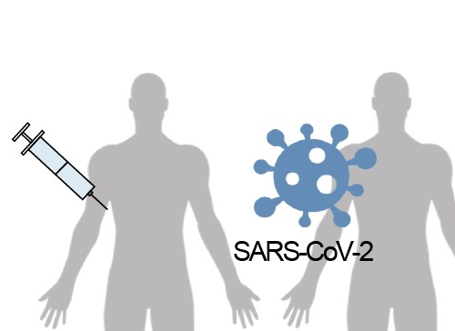 Humoral immune response against SARS-CoV-2 variants